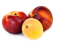 two nectarines and an apricot